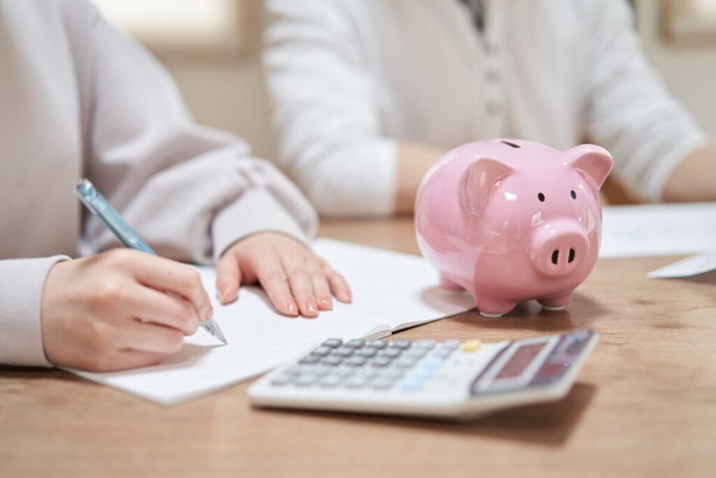 Loan Repayment Strategies